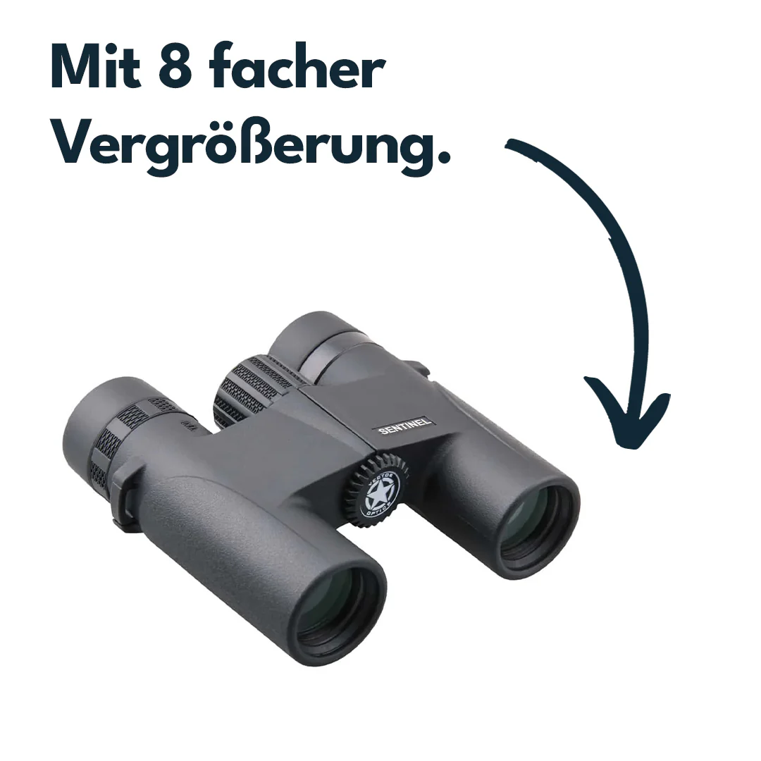 Vorschaubild 3