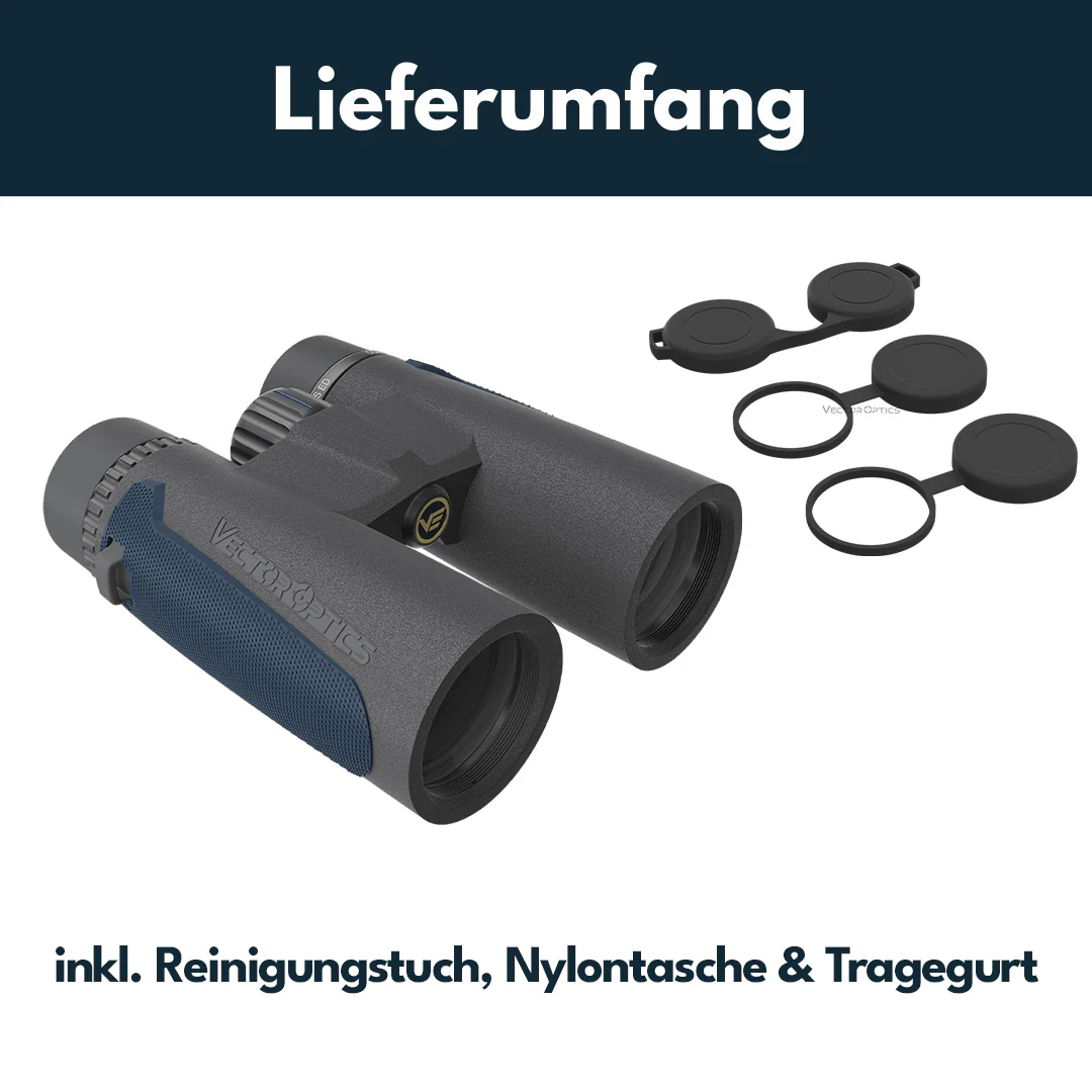 Vorschaubild 5