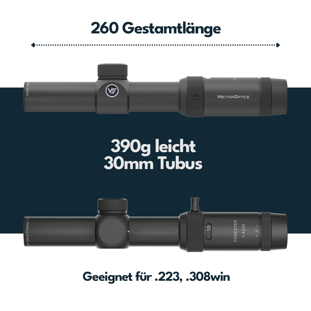Vorschaubild 6