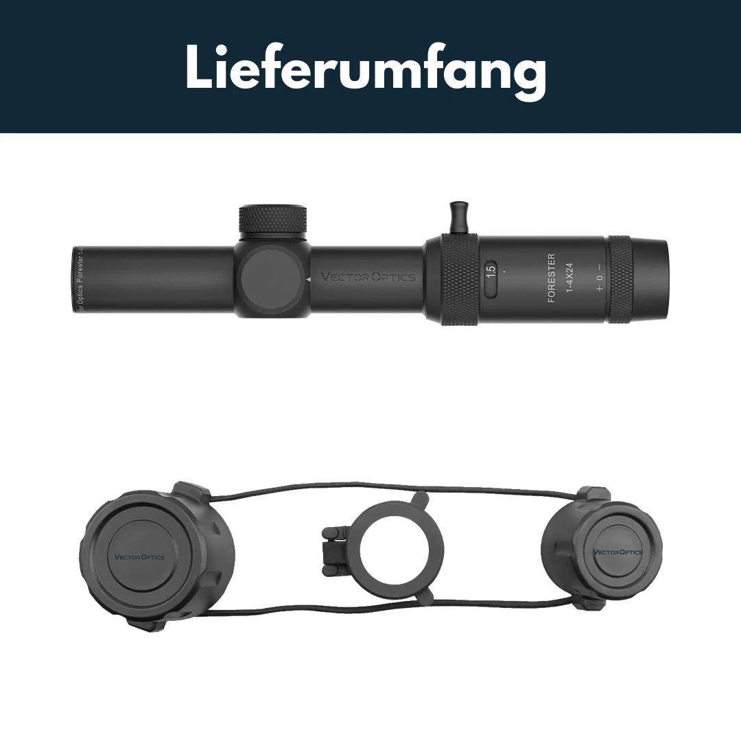 Vorschaubild 8