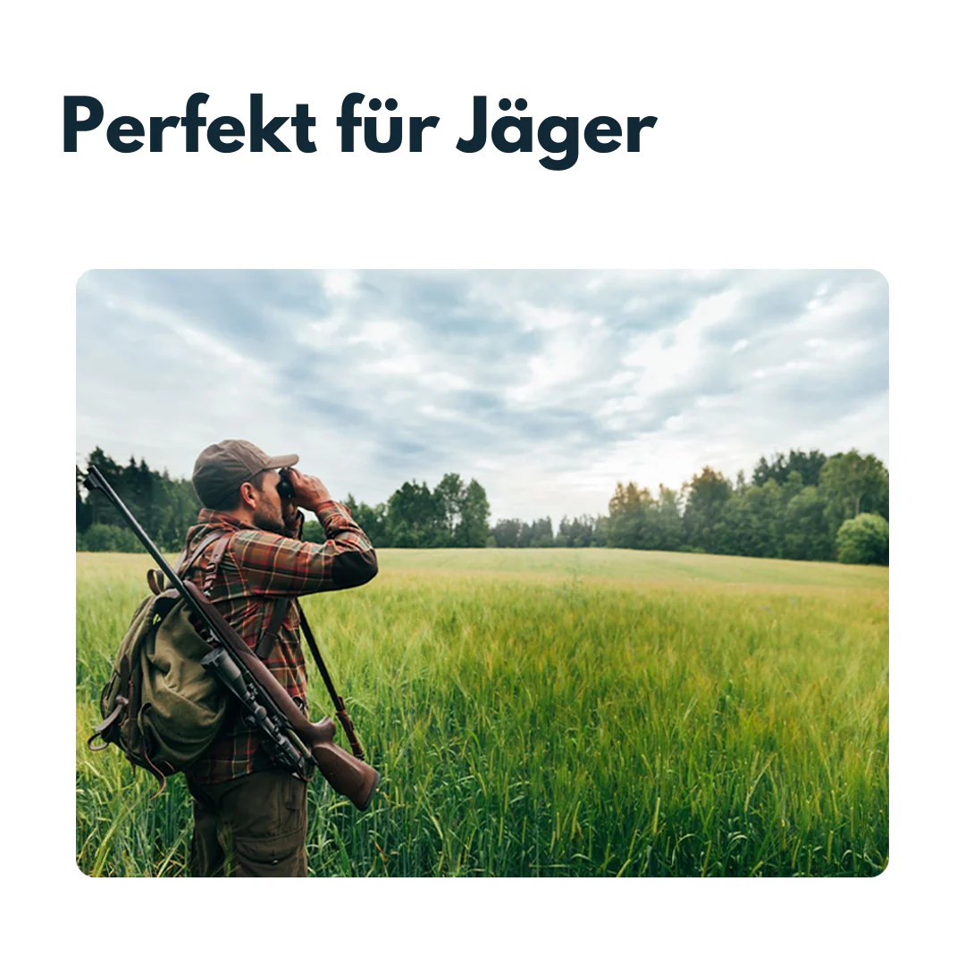 Vorschaubild 7
